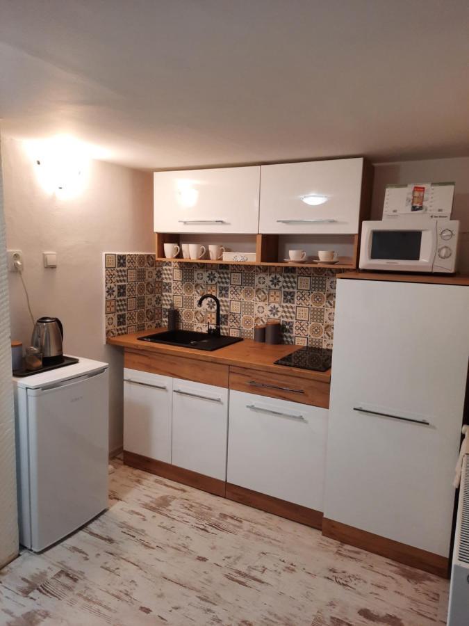 Penzion U Zlate Collie Доксы Экстерьер фото